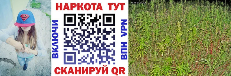 Где купить Мантурово Псилоцибиновые грибы  Меф  OMG вход  Cocaine  СК  ГАШИШ 