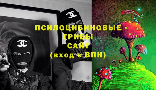 МДПВ Алексеевка