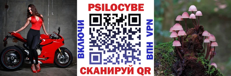 Псилоцибиновые грибы Magic Shrooms  Мантурово 